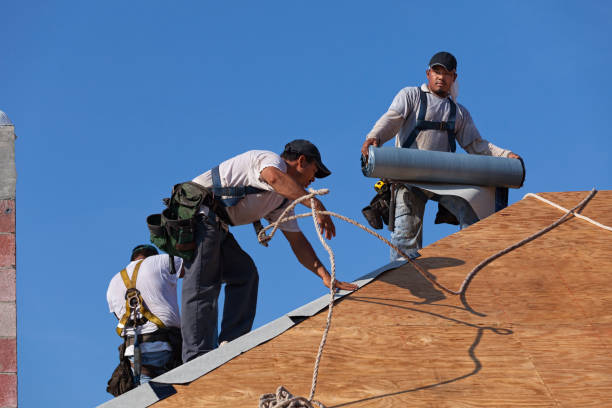 Best Flat Roof Repair Services  in North Oaks, MN