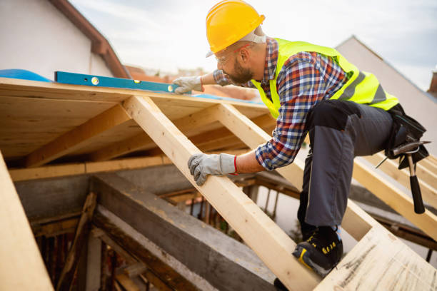 Roof Gutter Cleaning in North Oaks, MN