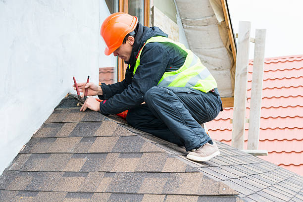 Best Roof Gutter Cleaning  in North Oaks, MN
